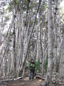 Alex am Weg zum Cerro Guanaco