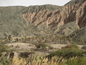 am Weg von Salta nach San Antonio de los Cobres