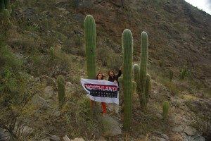 was man fuer den Supporter nicht alles macht - Fotos mit stacheligen Kameraden im Umland von Salta