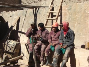 Cocablatter sind das (Ueber)Lebenselexier der Arbeiter - sie machen die harte Arbeit ertraeglich