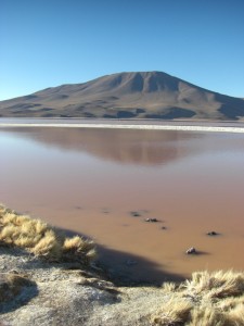 Laguna Colorada