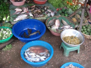 so bekommt man FRISCHEN Fisch