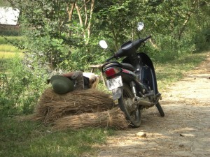 Manchmal muss man sich einfach etwas ausruhen...Vietnamesen sind da seeeehr erfinderisch :-)