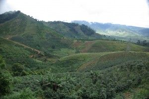 Die Folgen von Agent Orange (Entlaubungsmittel) - man beachte die Baumgrenze an der Spitze des Huegels links. Wo keine Baume sind waechst ca 50 Jahre nach dem Vietnamkrieg nur noch Gras.