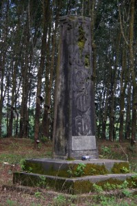 ...von den Suedvietnamesen errichtetes Denkmal fuer die toten Helden einer wichtigen Schlacht, das von den Nordvietnamesen zerschossen wurde und nun verfaellt.