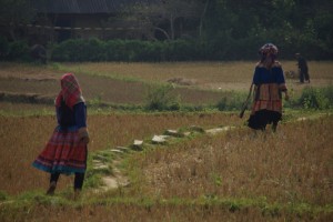 Die laendliche Idille taeuscht fast ueber die harte Knochenarbeit hinweg die die Frauen hier verrichten...