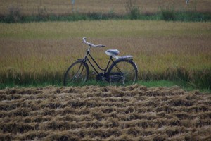 Das Fahrrad ist eines der wichtigsten verkehrsmittel