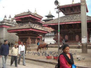 ...der Durbarsquare, der Hauptplatz der Stadt ist noch von alten Gebauden gepraegt - neu auch die Kuehe ueberall, die ja fuer die Hindus heilig sind...