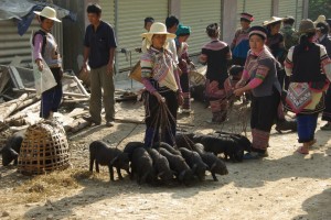 auch alle moeglichen Tiere kann man erstehen