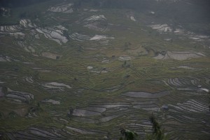 und am NAchmittag gabs wieder ein Meer an Reisterassen in Laohuzui