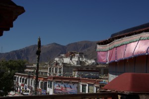 ...es muss nocheinmal sein :-) die Aussicht auf den Potala ist einfach grandios.