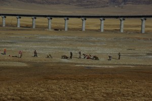 Wahnsinn, die Pilger am Weg Richtung Lhasa