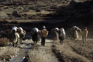 ...vor uns die Gruppe Tibeter mit den Yaks - deren Mist ist ein sehr wichtiges(das einzige) Brennmittel in Tibet