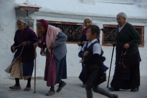 ...wer weiss, einige darunter sind sicher aus Tibet gefluechtet um ihren Lebensabend als freie Tibeter zu verbringen