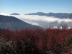 Die roten Straeucher geben einen schoenen Kontrast zur weissen Wolkendecke unter uns