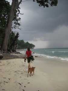 Tja wir sind in den Tropen - ein kurzer Spaziergang am wunderschoenen Strand...