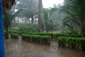 ...dann ziehen wir uns schnell in unsere palmzweiggedeckte Bambushuette zurueck - erstaunlicherweise kommt kein Tropfen Regen durch das Blaetterdach