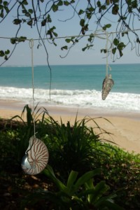 ...und schmuecken mit dem was wir finden unseren Campingplatz - hier ein Nautilus und eine wunderschoene Muschel..