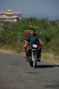 sieht doch ganz lustig aus, Moenche die Motorradfahren, oder?