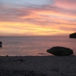 resized_CIMG0935.jpg
