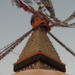 resized_CIMG5102.jpg