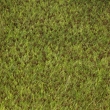 resized_CIMG5173.jpg