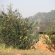 resized_CIMG5178.jpg