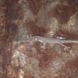 resized_CIMG1734.jpg