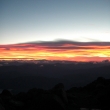 resized_CIMG9906.jpg