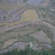 resized_CIMG0900.jpg