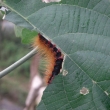 resized_CIMG0947.jpg