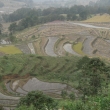 resized_CIMG0990.jpg