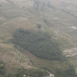 resized_CIMG1034.jpg